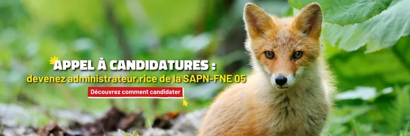 Appel à candidatures au conseil d'administration