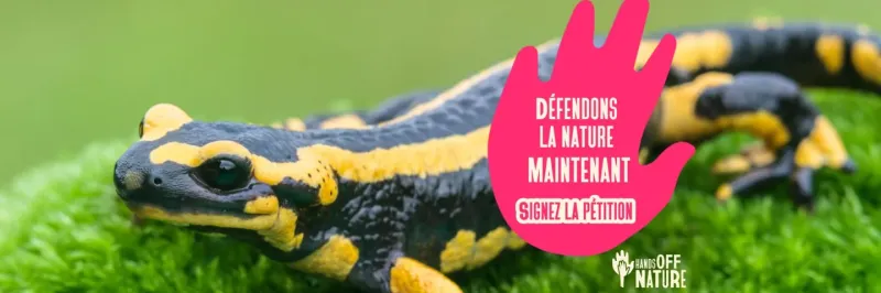 hands off nature : signez la pétition