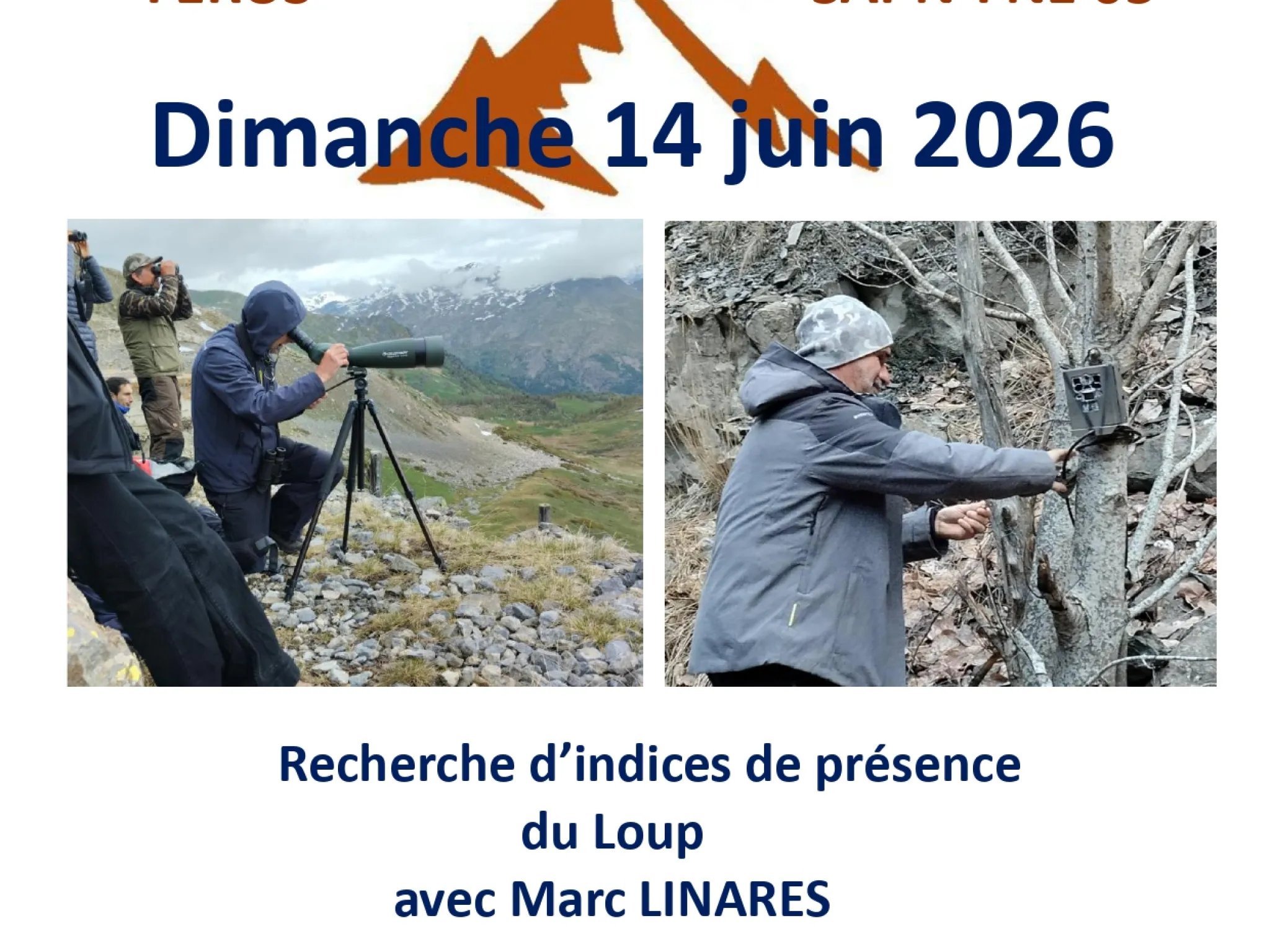 Sortie sur les traces du loup