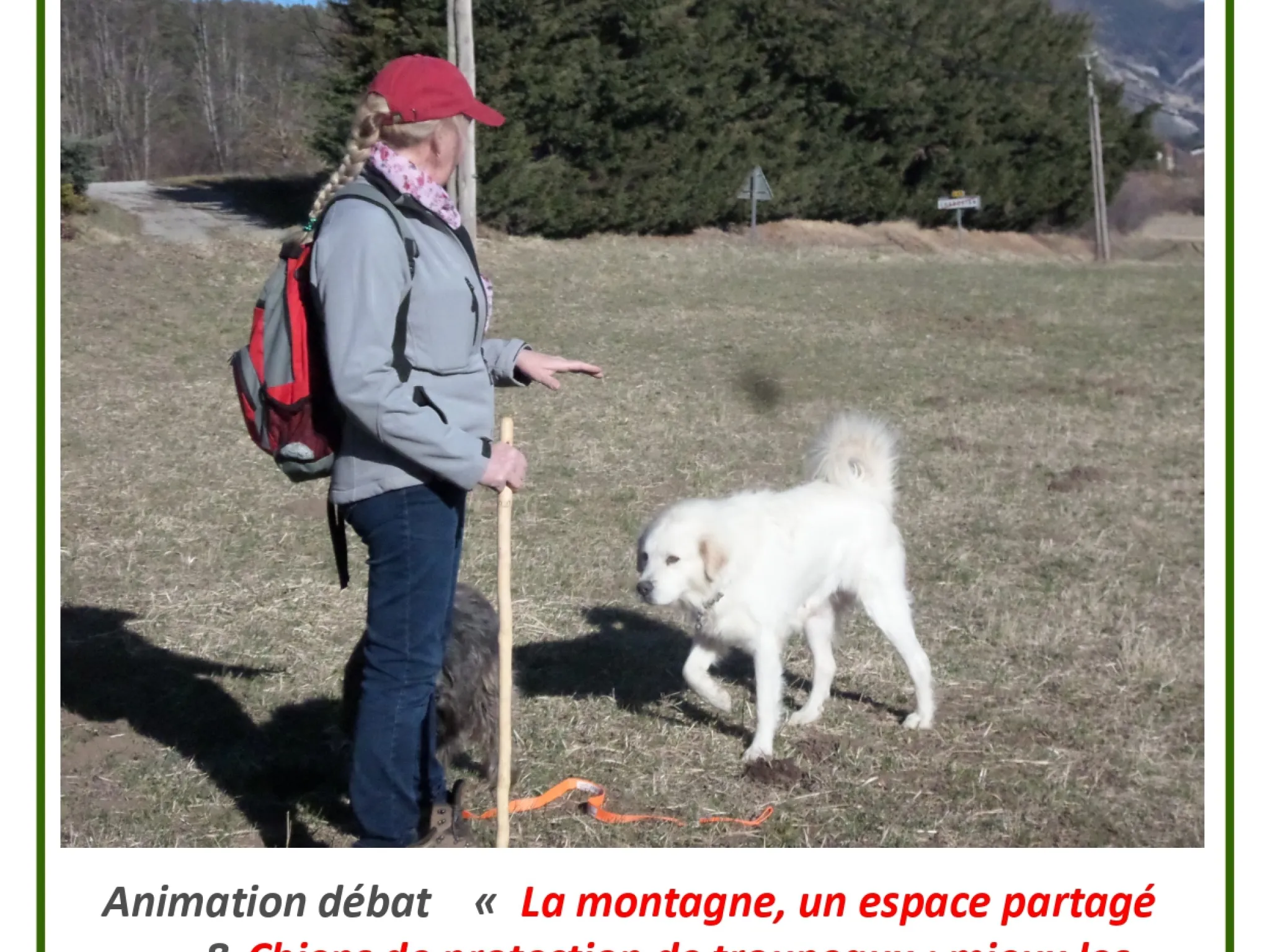 animation en soirée pour apprendre à mieux connaître les chiens de protection des troupeaux le 14 avril