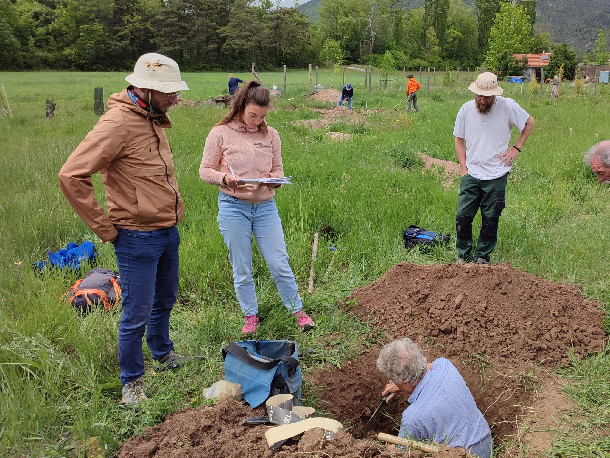 Analyse de la fosse pédologique