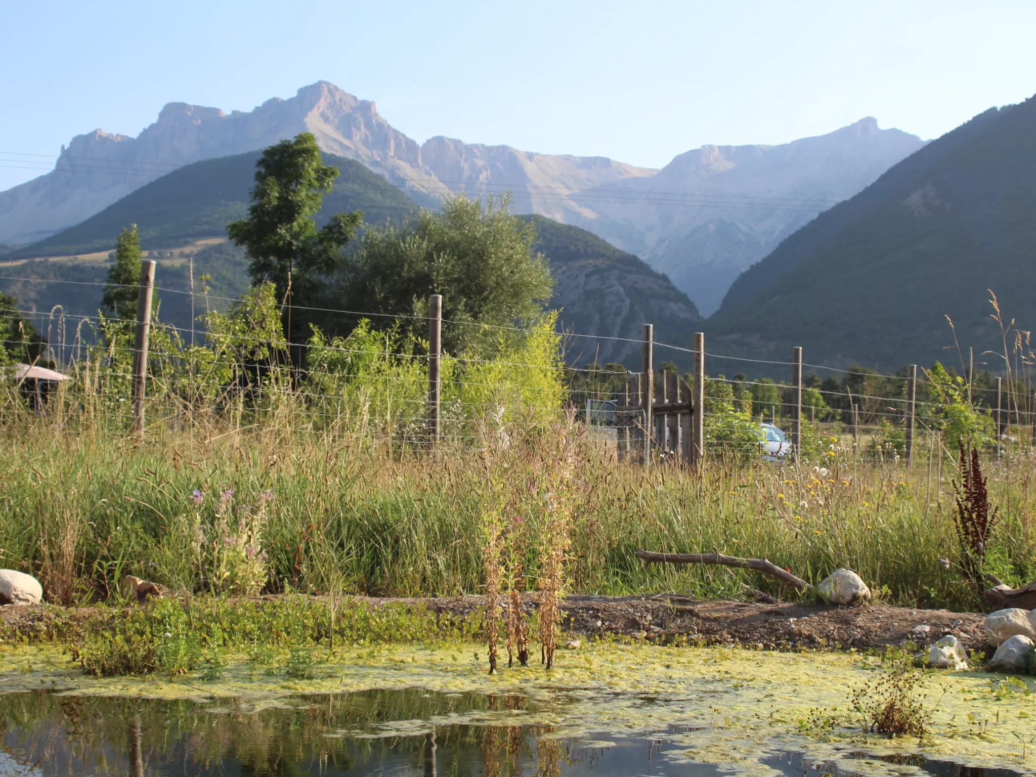La mare de la Butinerie du Buëch