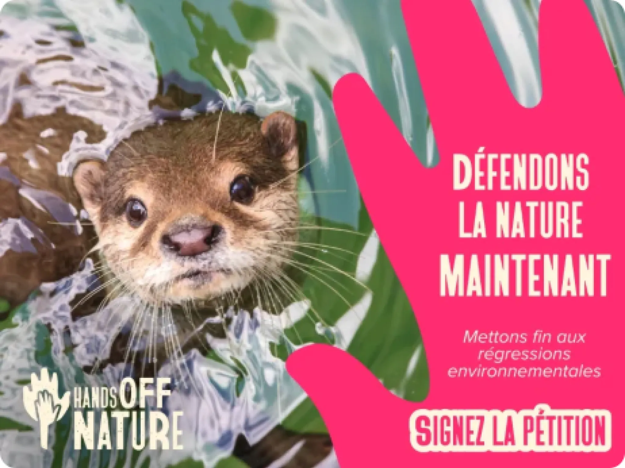 Défendons la nature maintenant : signez la pétition