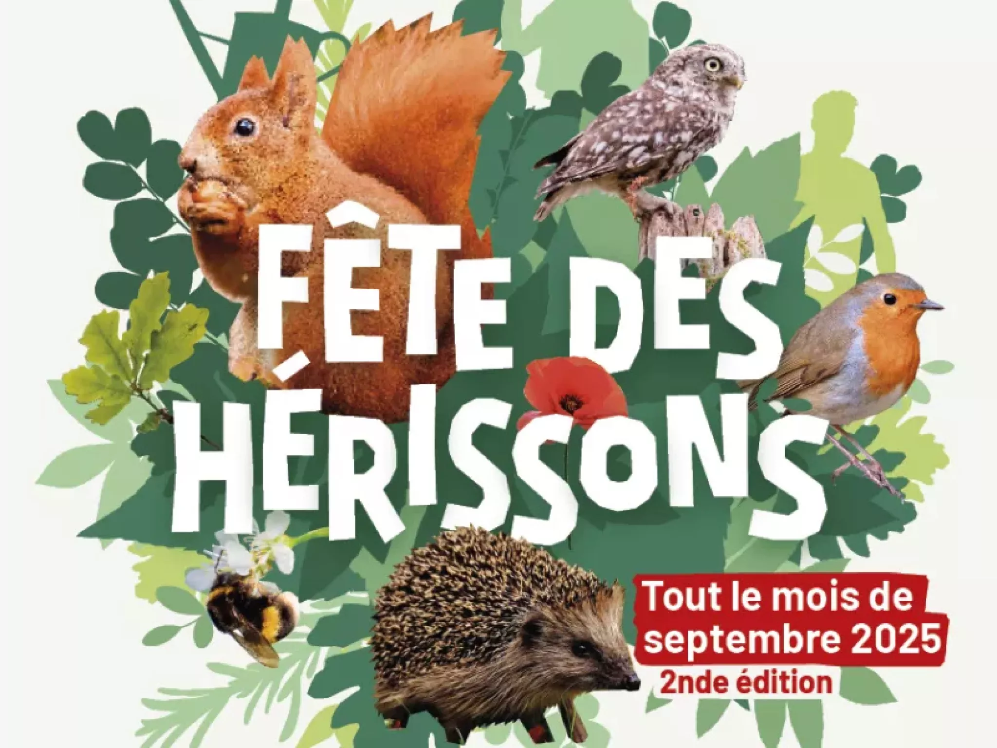 fête des hérissons 