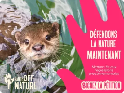 Défendons la nature maintenant : signez la pétition